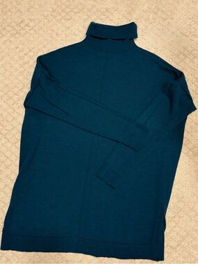 Eileen Fisher Teal Blue Turtleneck Sweater